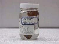 藏品(鳶鱠)的圖片